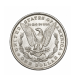 Morgan Dollar 1885 0